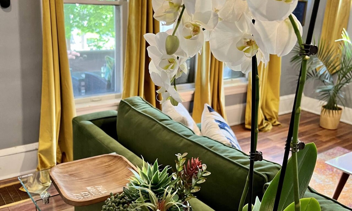 Highland Square Apartment | Apartment with a boho, relaxed and soulful vibe in the heart of Highland Square.