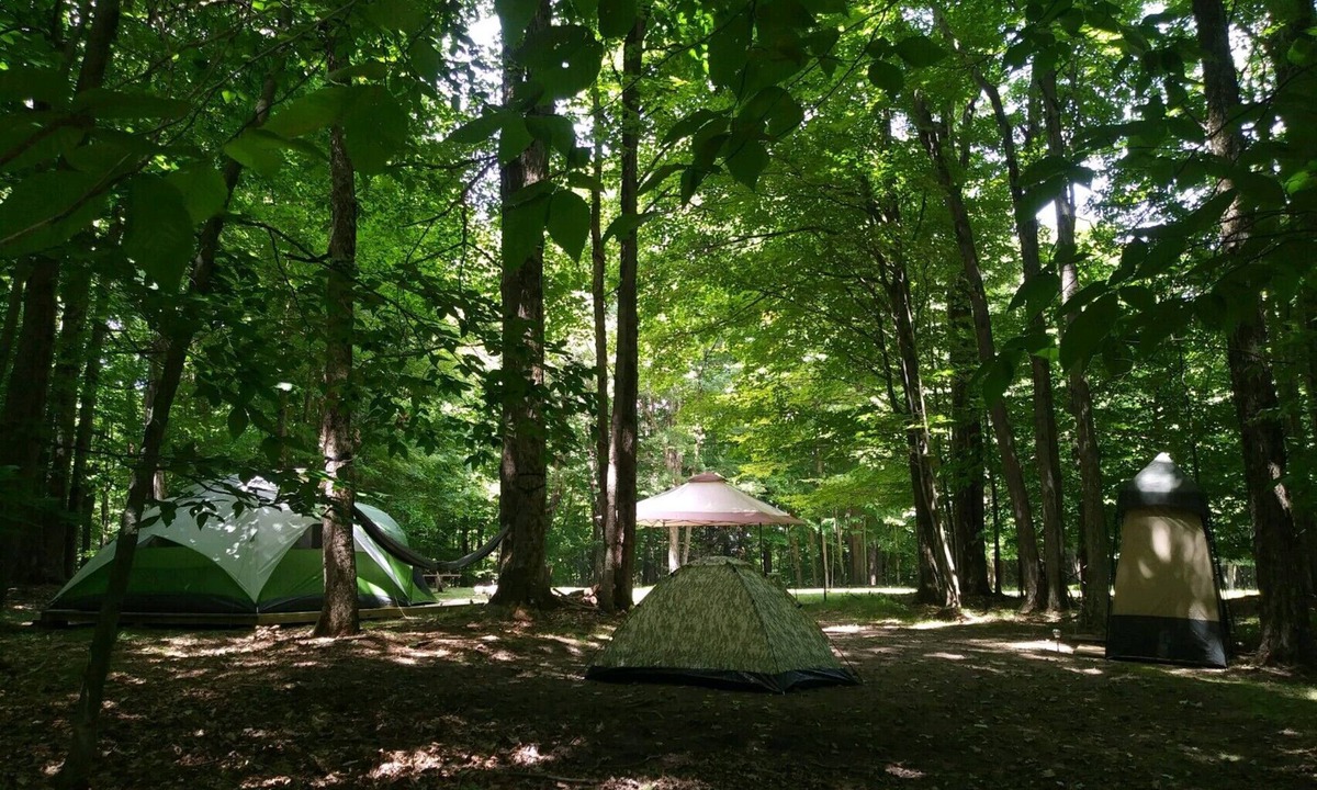 Wellsville RV Rental | Blue Moon - Dark Skies, Spacious, Quiet, Fully Furnished Campsite