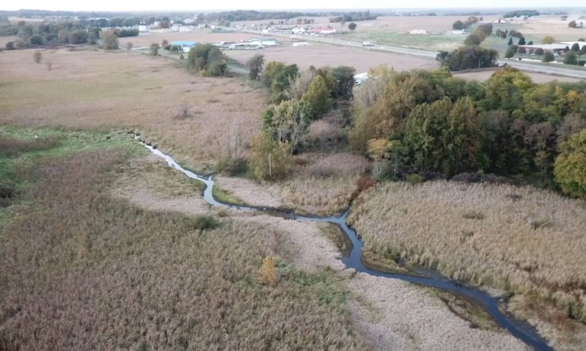 Carroll Condo | Buckeye Marshside Bungalow Inviting Apartment Getaway with Marshland Views.