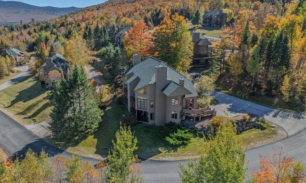 Carroll House | C11 Top Rated Townhome. Great views, fireplaces, wifi, AC! Short walk to slopes, and dog friendly!