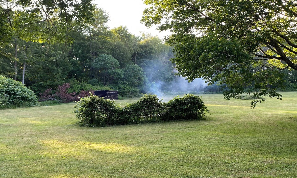 Marienville House | Charming 2-BR house in Marienville with AC. Close to ATV trails. Two fire pits.