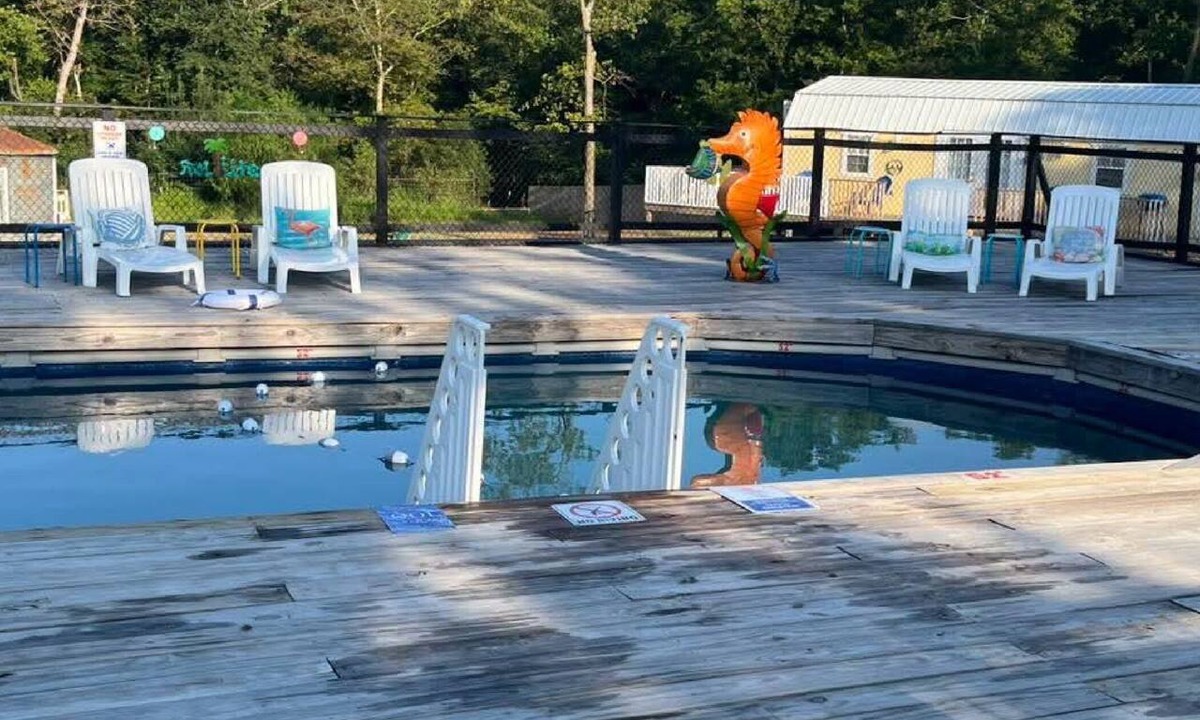 Bushyhead Cabin | Cozy 1-bedroom cabin with a beautiful marine setting!