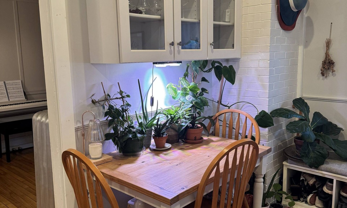 Parkside Condo | Cozy 1-Bedroom Condo with AC in Lovely Portland, Walkable Neighborhood