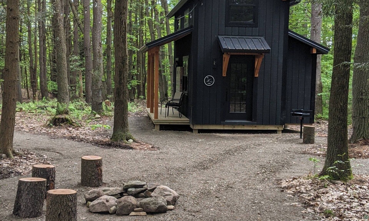 Dansville Cabin | Cozy 2-bedroom cabin in Dansville with all the modern convenience’s