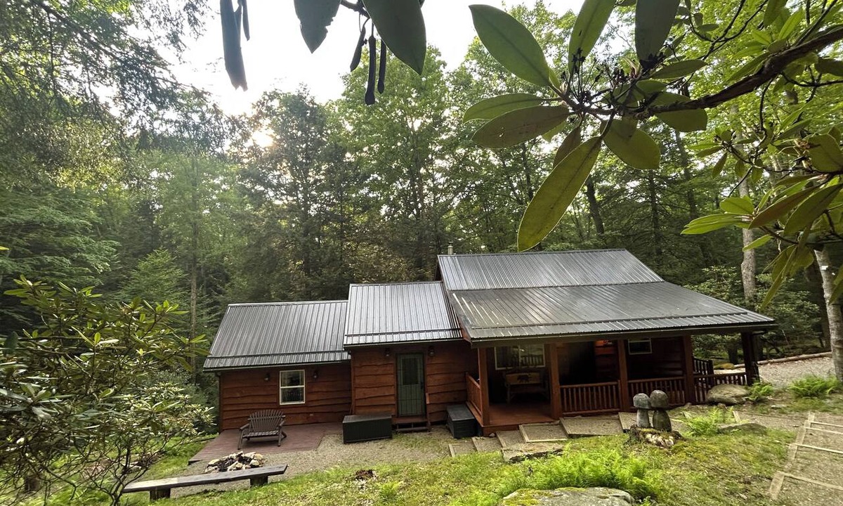 Clarington Cabin | Cozy Bear Cabin in Cook Forest 2 miles from the Clarion River!