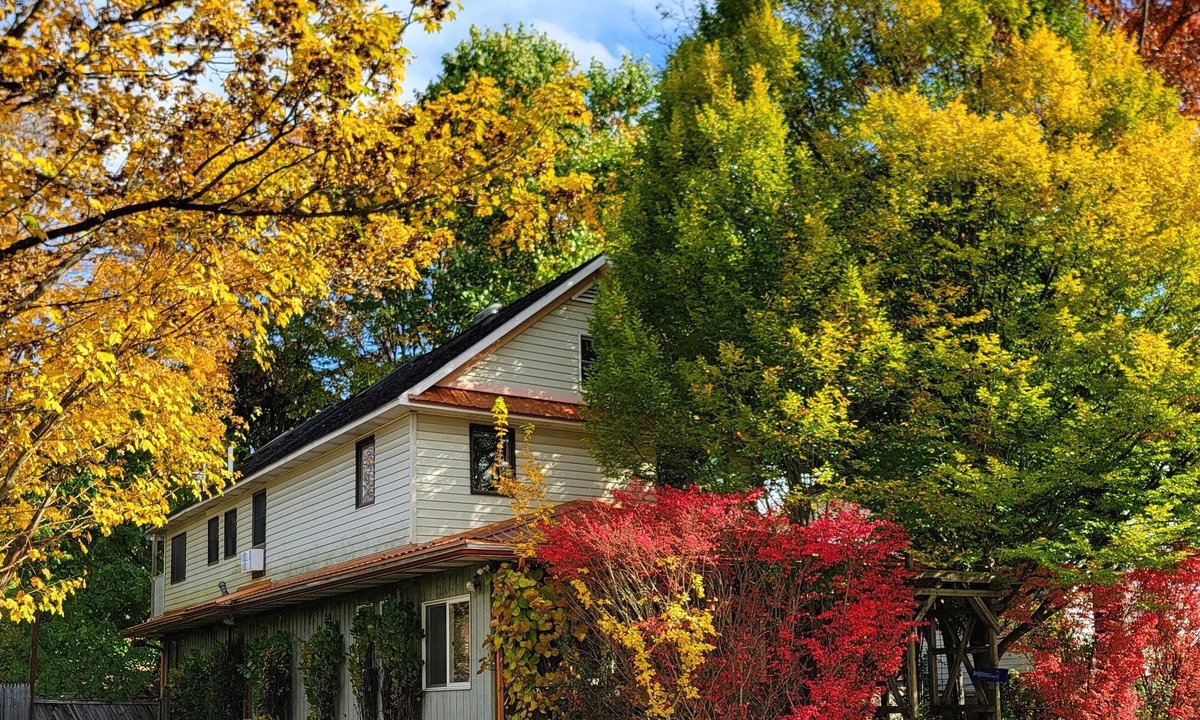 Allegany House | Cozy Village Hideaway near St Bonaventure University & Holiday Valley w/WiFi