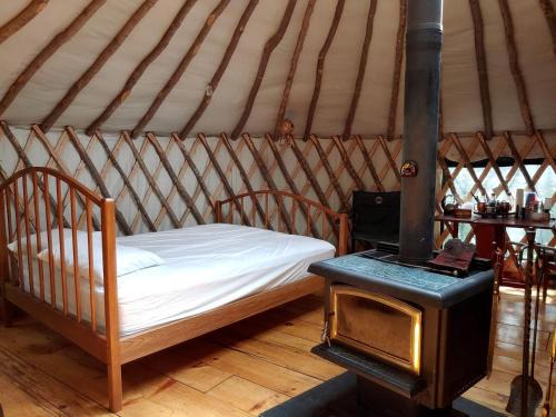 Chatham Other | Cozy Yurt in the Peaceful Woods in Chatham, NH