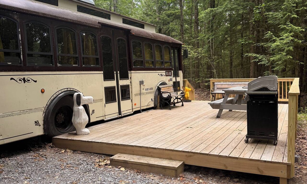 Middle Grove Apartment | Dog friendly trolley with Peanuts Theme