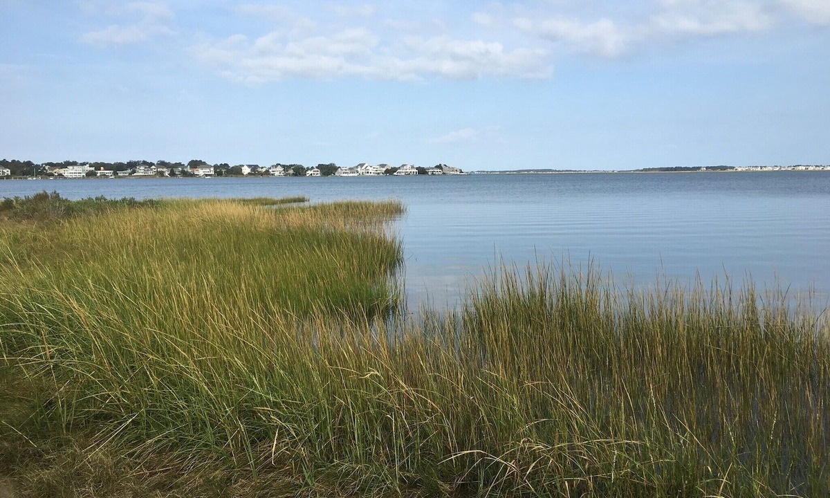 Ocean View House | EXQUISITE Bethany Beach Coastal Luxury Get Away