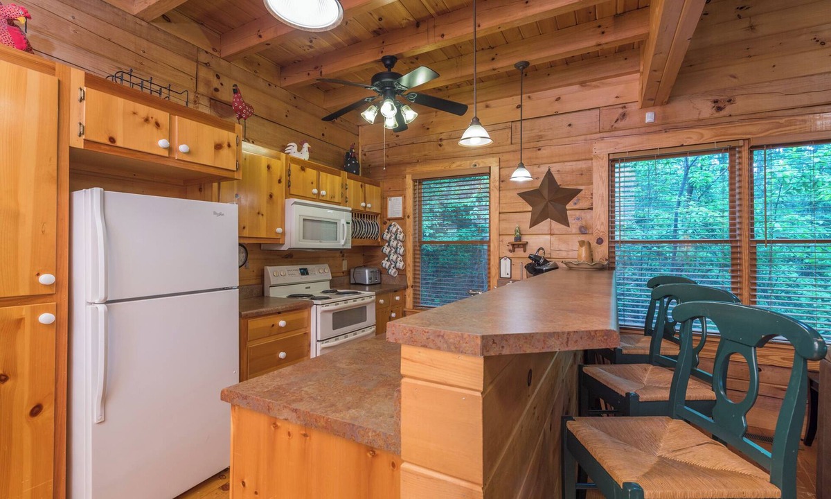 Black Mountain Cabin | Firefly Lodge - Cabin w Mountain Views & Fire pit