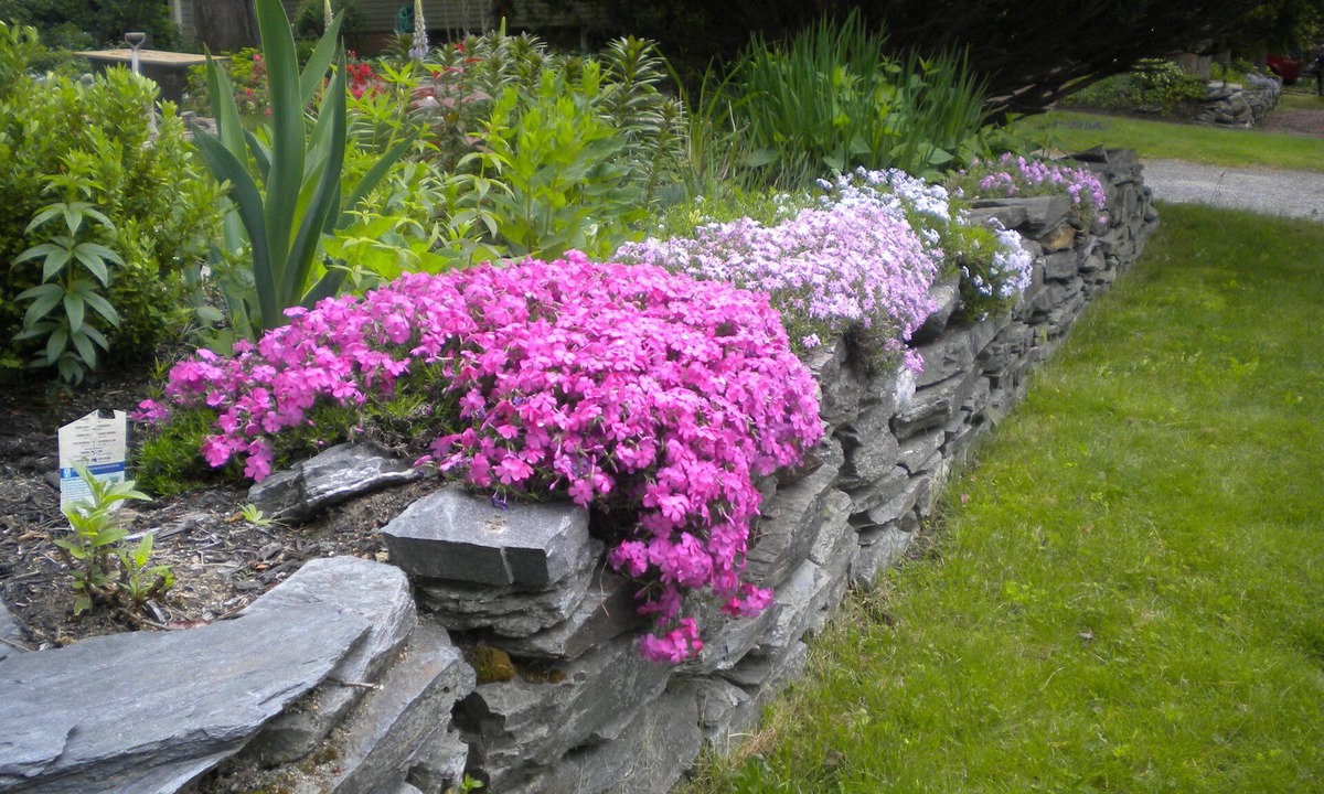 Rosemont Bed & Breakfast | Fleetwood House Bed & Breakfast