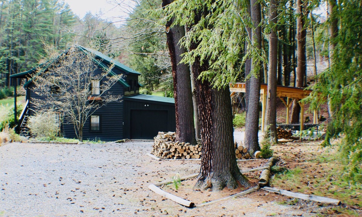 Cooksburg Cabin | Heart of Cook Forest, 2 Dogs Stay Free/High Speed Internet/Sleeps 12/Pavilion