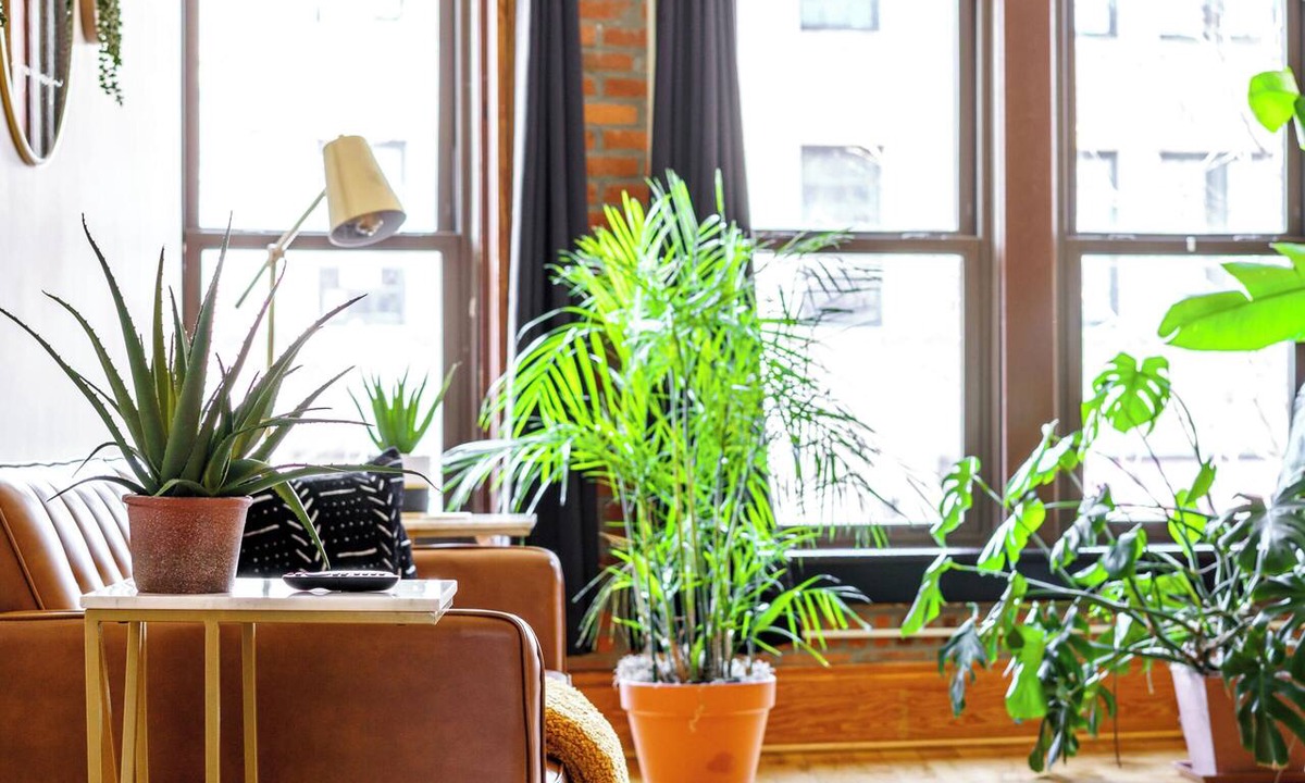 Italian Village Apartment | Jungle House Luxury Lofts – Short North High Street