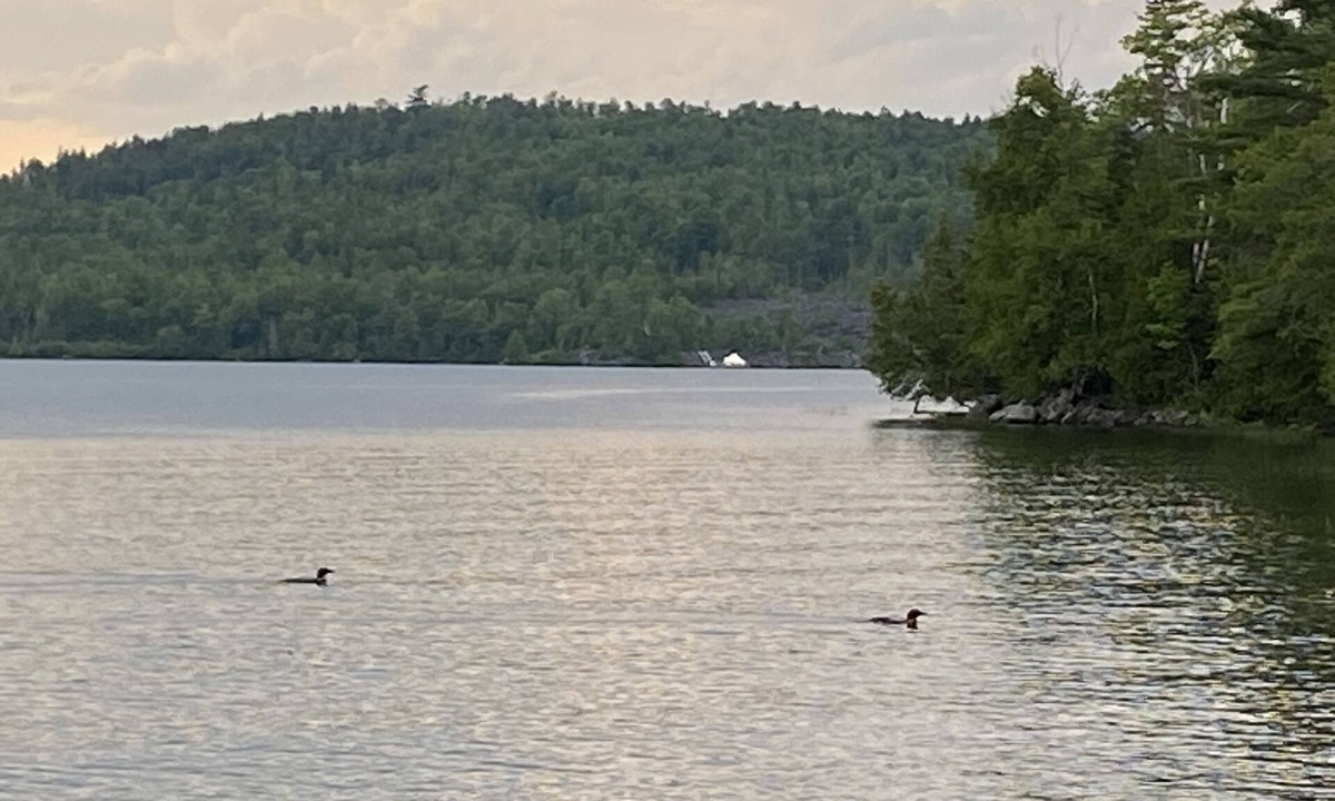Monson Cottage | Lakefront cottage with privacy and charm!