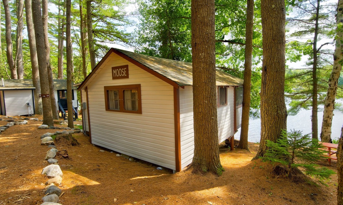 Orland Cabin | Lakefront Moose Tiny Cabin @ Getogether Stays