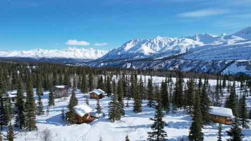 Sutton House | Little Bear Getaway Cabins