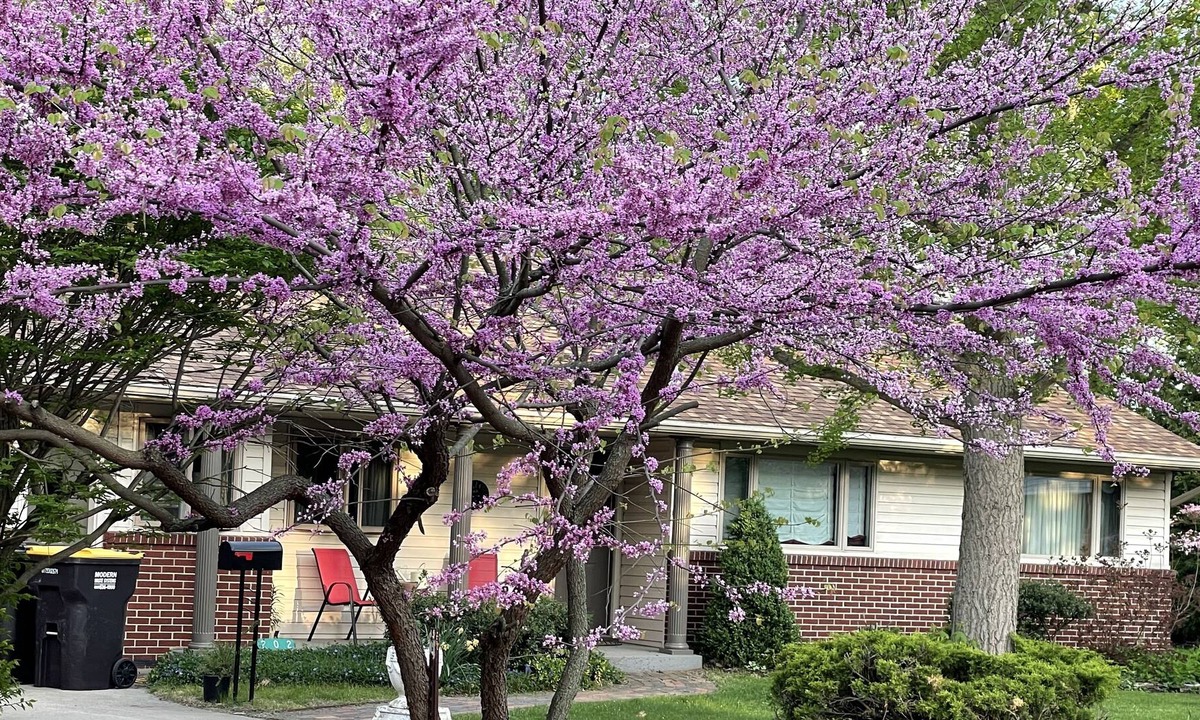 Jonesville House | Lovely home in quiet neighborhood