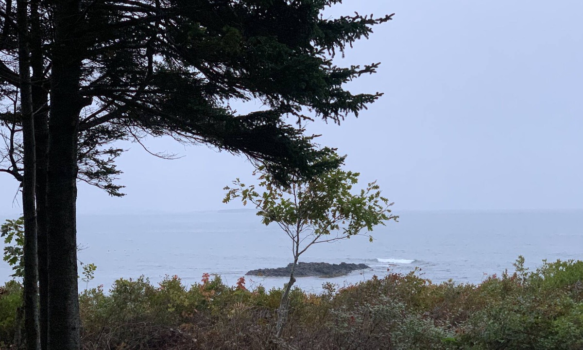Phippsburg Apartment | Nest del Mar-Gorgeous Classic Maine Camp on the Ocean