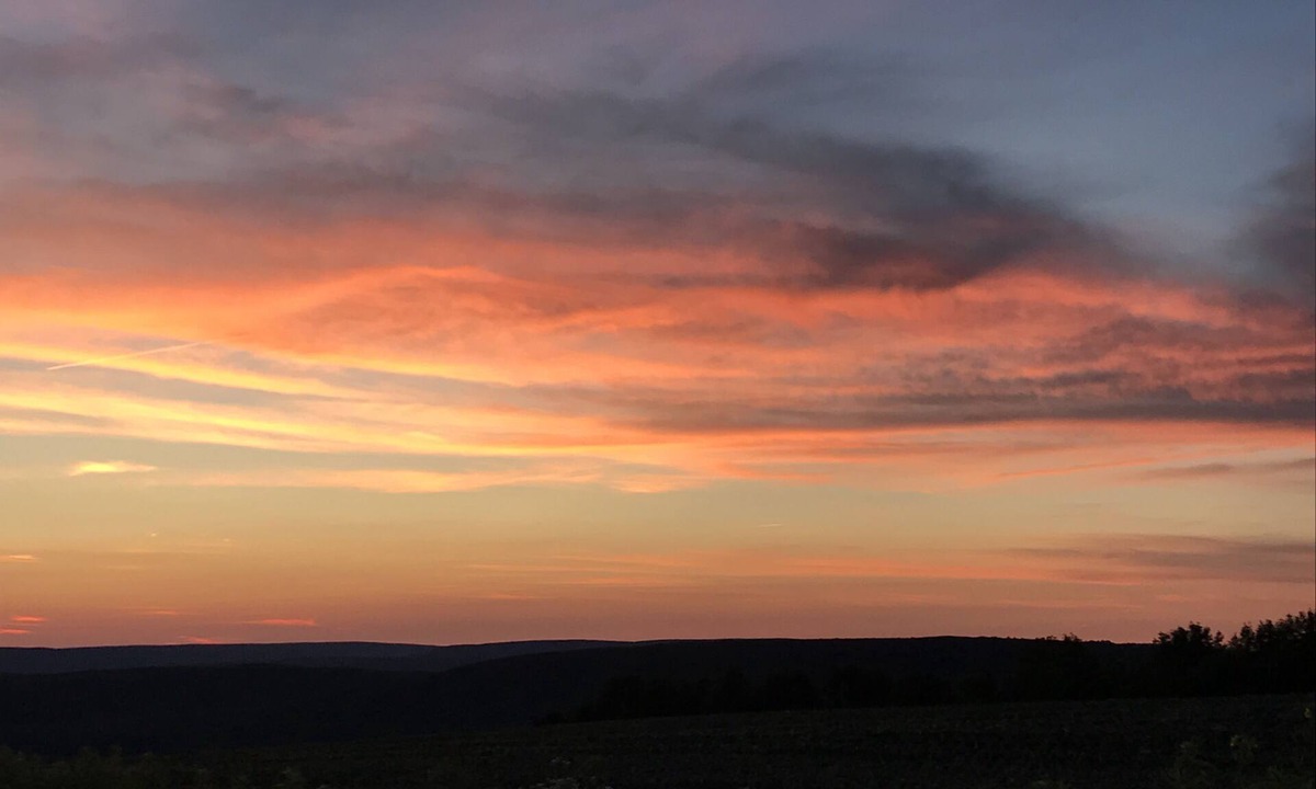 Branchport Cabin | Newly Renovated Rustic Cabin w/WiFi in the Heart of the Finger Lakes