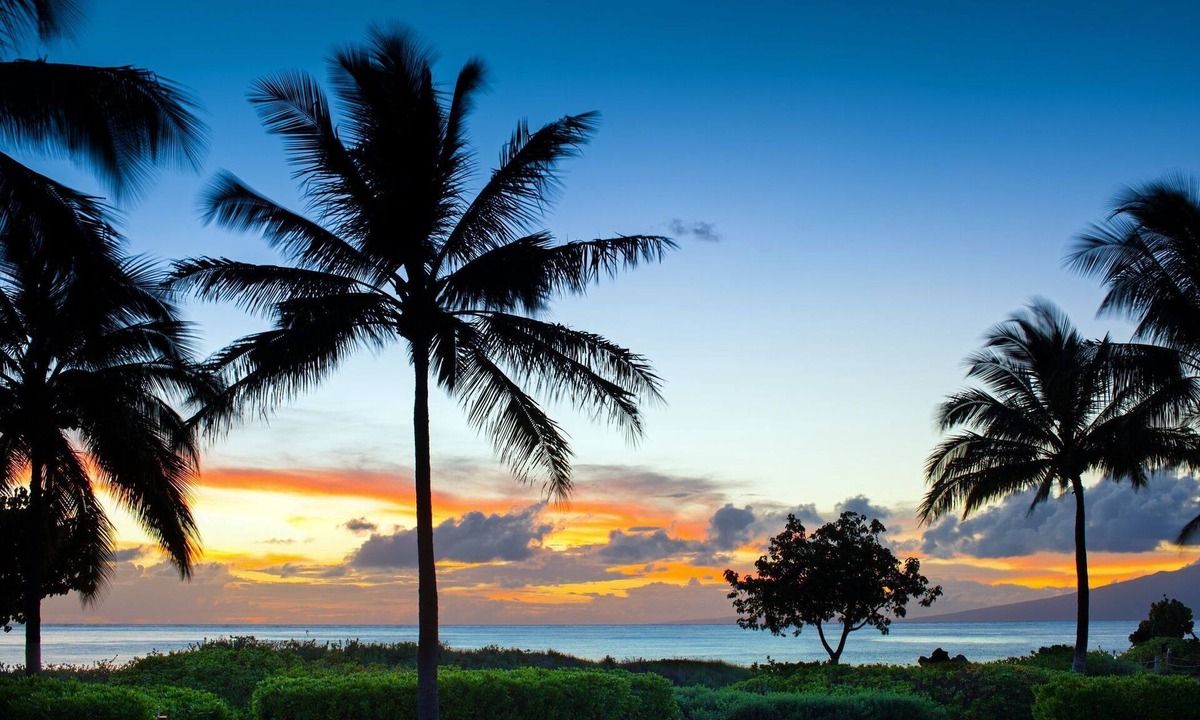 Kaanapali Villa | OCEANFRONT Bliss! FIXED UNIT 1414 Building 1 3BR, 2BA, sleeps 8