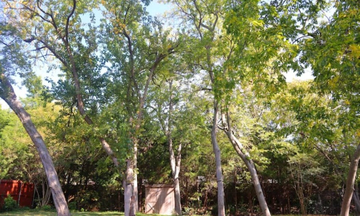 Murphy House | Perfect place for relaxing in the heart of Murphy