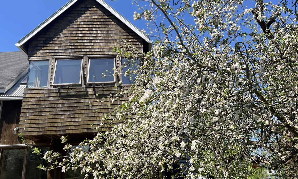 Pond Cove Cottage | Private Contemporary Artist's Tree House on two acres with perennial gardens.
