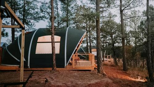 McIntosh Other | Quiet Escape Beneath New Mexico Skies
