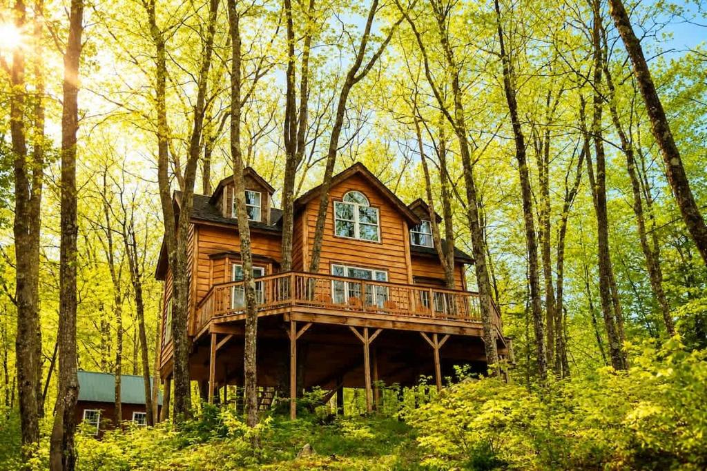 Stoneham House | Real Treehouse Adventure Rustic meets Luxury