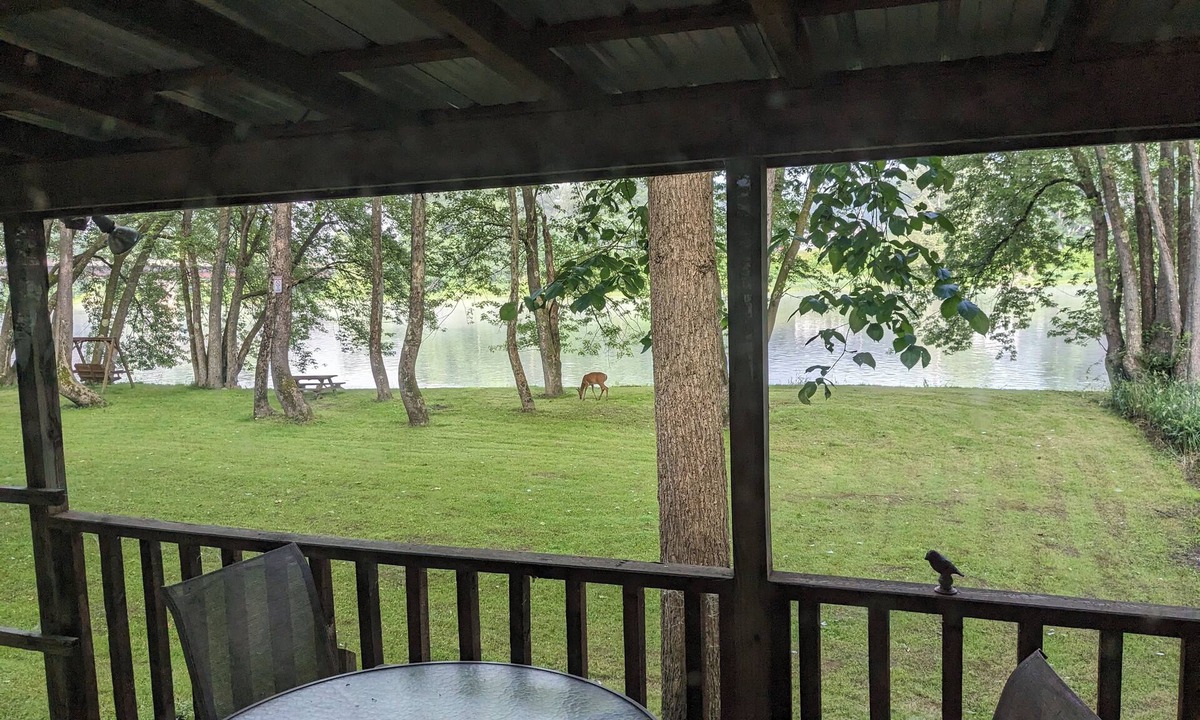 West Hickory Cabin | Riverside Retreat on 425' of Allegheny River frontage with large, flat area