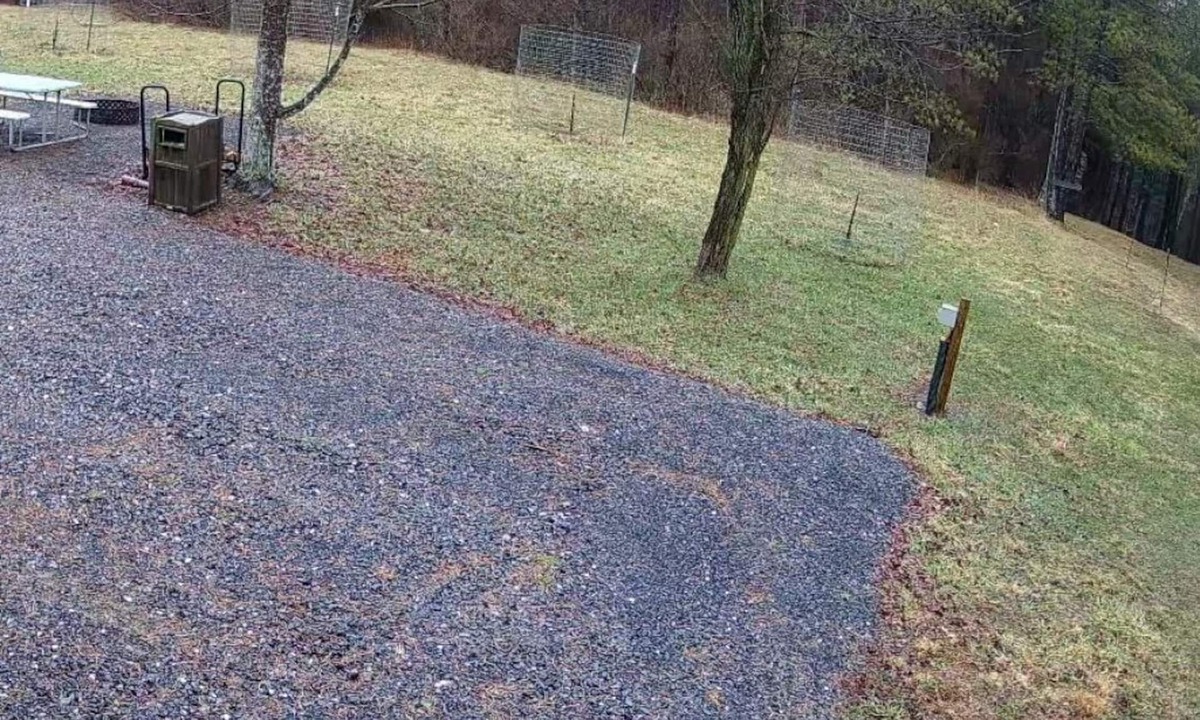Benezette RV Rental | RV Lot On Best Elk Viewing Road - Across From Visitors' Center