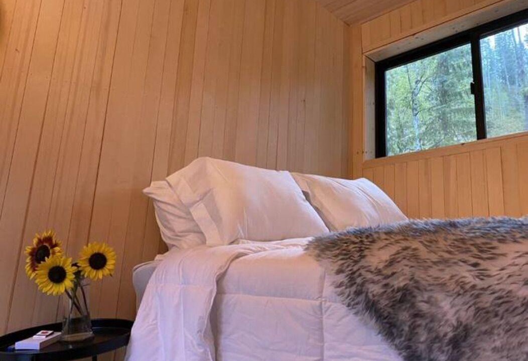 Crescent Valley Cabin | Scandinavian Micro-Cabin