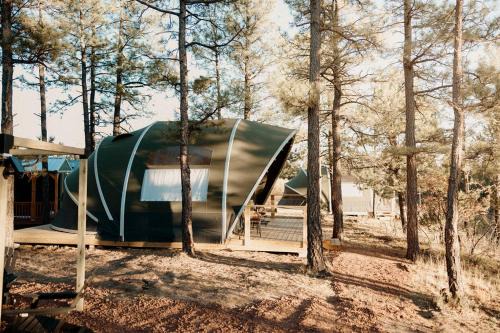 McIntosh Other | Scenic Mountain Yurt with Queen Bunks
