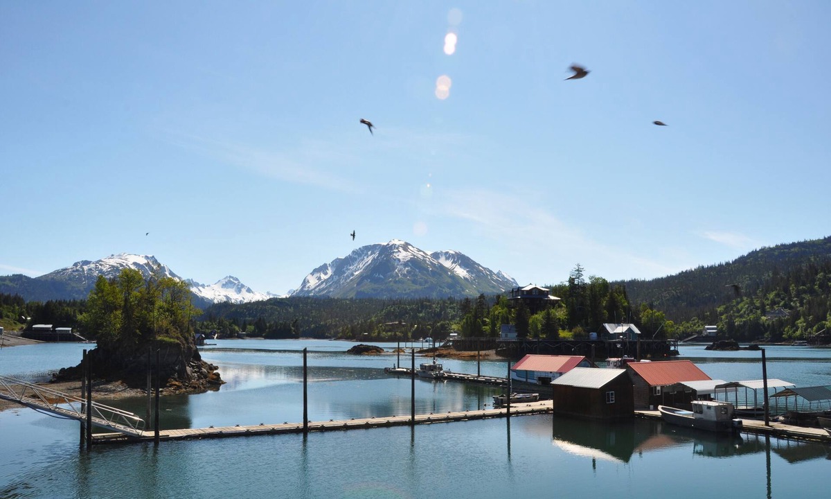 Halibut Cove Cabin | The Green Cabin