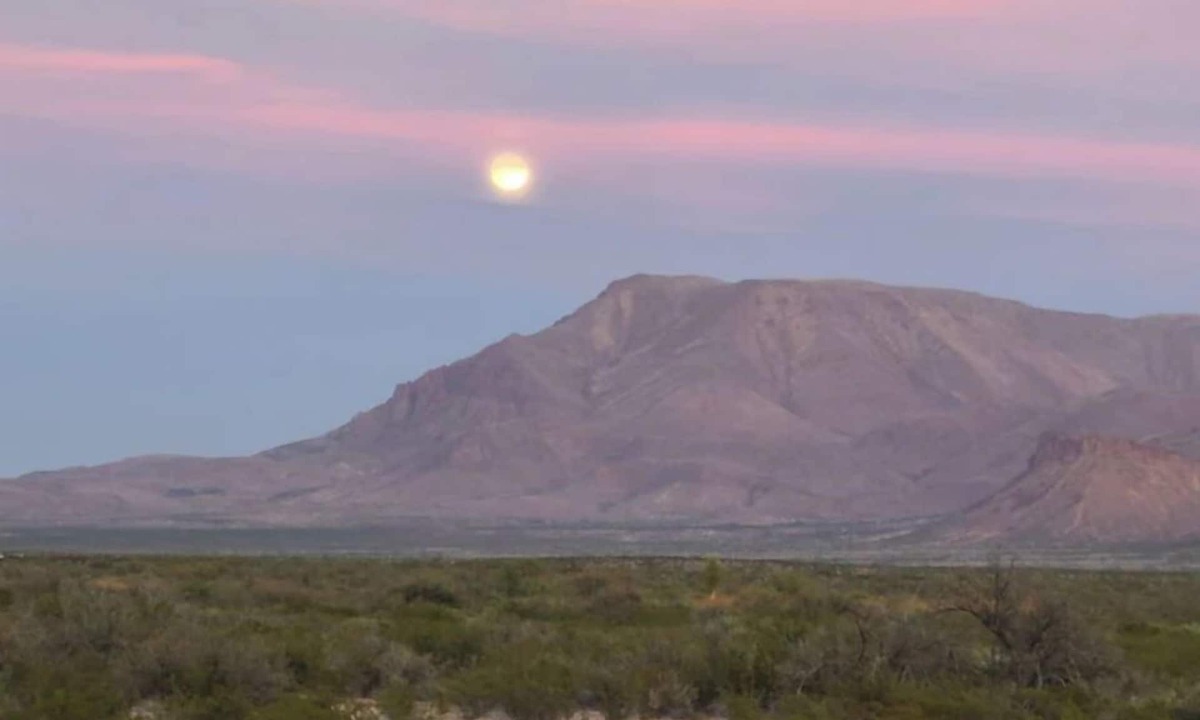 Alpine Cabin | Wildlife, BBQ, Stargazing: Black Cat Ranch Awaits!