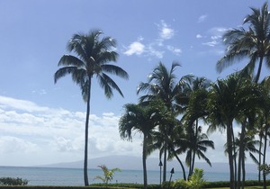 About As Close to the Ocean As You Can Get!!! (Wavecrest Resort)