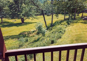 Rough Cut Lodge - Hickory Cabin