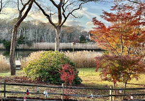 Waterfront Relaxation in Westhampton
