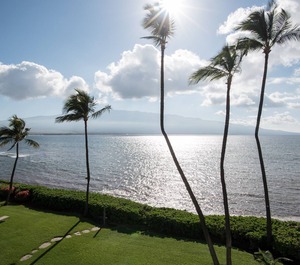 Maalaea Banyans 