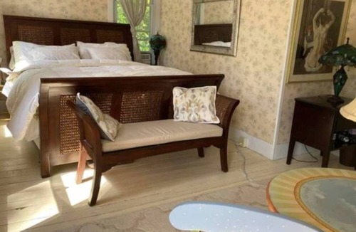 Montour Falls House | 1860 French Country Farmhouse - Sleeps 10!