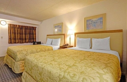 Brookville Hotel | 4 Clean & Modern Rooms w/Free Parking near Golden Gate | Pet-Friendly