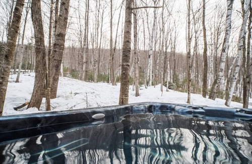Jackson Cabin | 998 Pinhkham · Cozy Wooded Cabin/private hot tub/fireplace/river