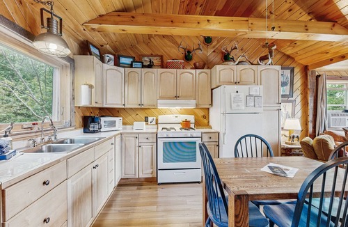 Greenville Cabin | Adorable Cottage on the Lake W/Shared Dock, Full Kitchen, Firepit, & Hiking