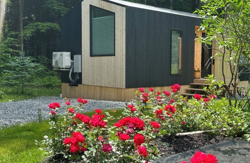 Greenfield Center Cabin | Aframe tiny home in the forest