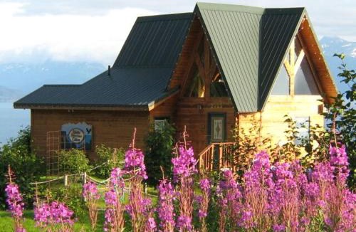 Homer Cabin | Alaska Adventure Cabins