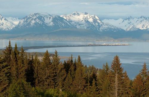 Homer Cabin | Alaska Adventure Cabins