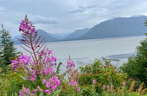 Soldotna Cabin | Alaska Lake + Lodge at Longmere