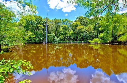 Wills Point Cabin | Amazing Cabin- 4th nt. FREE this Summer!