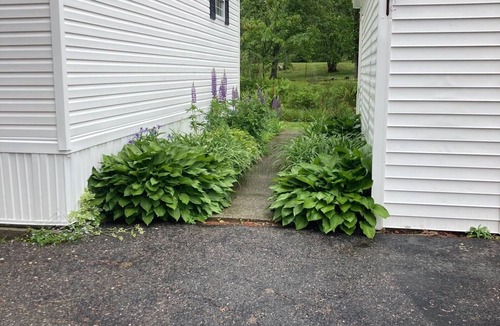 Castine Cottage | Back to basics small simple cottage just a two minute drive to the beach.