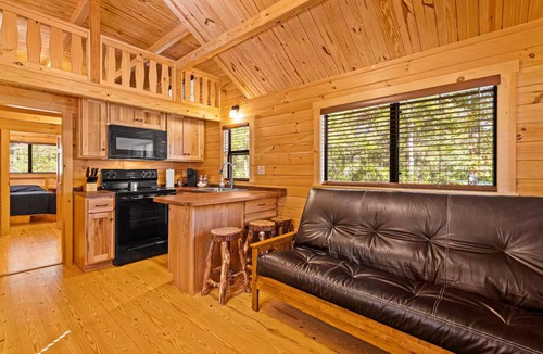 Gilmer Cabin | Barnwell Mountain Cabins #59