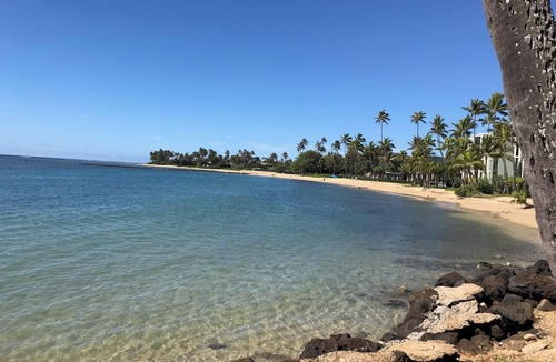 Kahala Condo | BEACHFRONT - 2bdrm 2 bath, fine art, contemporary design in luxury building.